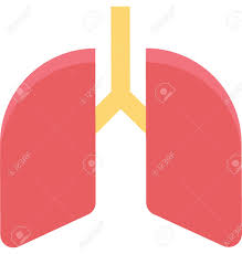 Dr.Debra Gibbs Travis